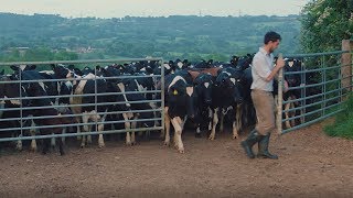 On the farm  a day in the life of an Arla dairy farmer [upl. by Heinrick]