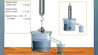 Verification of Archimedes Principle [upl. by Anigroeg250]