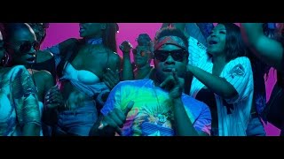 Maleek Berry  Eko Miami ft Geko Official Video [upl. by Ramedlab]