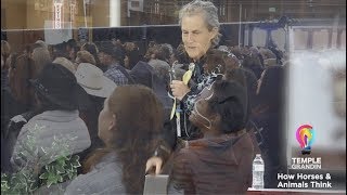 Temple Grandin  How Horses Think  2019 [upl. by Tereve]