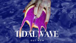 Chase Atlantic  Tidal Wave Official Lyric Video [upl. by Ettezzil681]