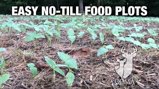 Easy Notill Food Plots  Whitetail Weekend Seminar [upl. by Trueblood]