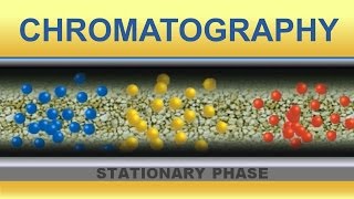 Chromatography Animation IQOGCSIC [upl. by Virgin502]