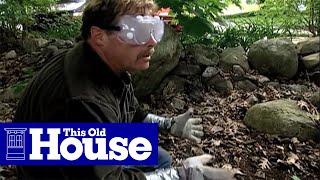 How to Clear Poison Ivy  This Old House [upl. by Vacla]