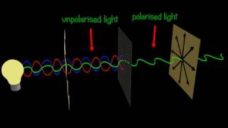 Polarization  Polarizer  Explained and animated 3d [upl. by Meehsar]