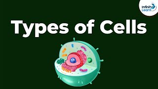 Types of Cells  Dont Memorise [upl. by Nalahs]