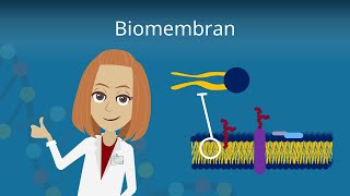 Biomembran  Aufbau und Funktion [upl. by Na952]