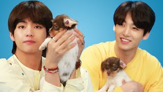 BTS Plays With Puppies While Answering Fan Questions [upl. by Annoyik358]