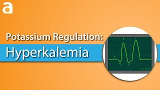 Potassium Regulation Hyperkalemia [upl. by Harold688]