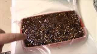 Pemmican  my choice for winter survival food [upl. by Rodoeht500]