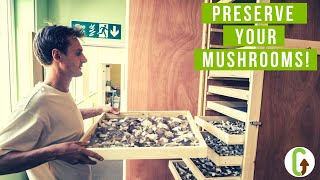 9 Ways To Preserve Mushrooms  GroCycle [upl. by Bobinette506]