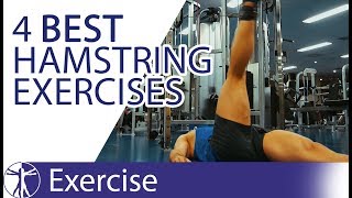 8 Hamstring Exercises  CalisthenicsBodyweight Training [upl. by Ardekan]