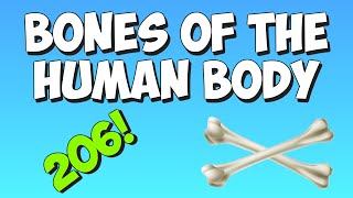 The Bones Song Learn the bones of the human body [upl. by Eleanore]