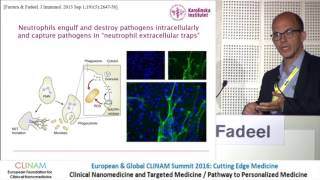 Graphene Oxide Interactions with Innate Immune Cells [upl. by Gere796]