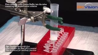 Antibody Purification Video  Biovision Inc [upl. by Malda15]