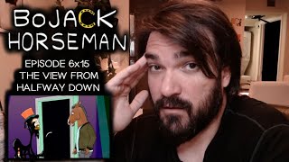 Bojack Horseman 6x15 quotThe View From Halfway Downquot NERVOUS BREAKDOWN amp REVIEW [upl. by Anirbes40]