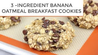 3INGREDIENT BANANA OATMEAL BREAKFAST COOKIES [upl. by Nosirrag]