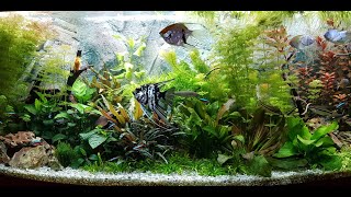 450 Liter Aquarium  Juwel Vision [upl. by Riccardo]