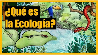 ¿Qué es la Ecología [upl. by Eidnar]