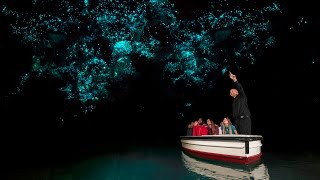 Discover Waitomo Glowworm Caves  New Zealand [upl. by Yenittirb90]