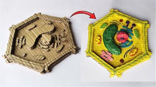 Cardboard Plant Cell Model  DIY Project [upl. by Arundel557]