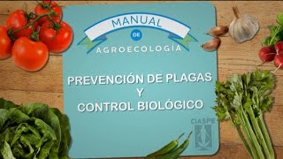 PREVENCION DE PLAGAS [upl. by Ylerebmik]