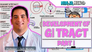 Gastrointestinal  Development amp Embryology of the GI Tract Part 1 [upl. by Aramac184]