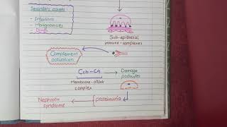 Introduction to Nephrology amp Glomerulonephritispart 1 [upl. by Jenkel777]