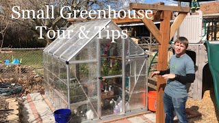 Small Greenhouse Tour amp Tips [upl. by Drolyag]