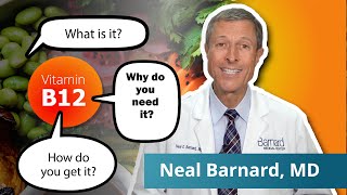 What You Need To Know About Vitamin B12  Vegan Diets [upl. by Hyacinthe]