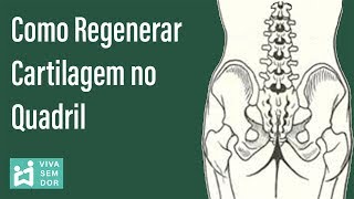 Como regenerar cartilagem no quadril [upl. by Ytima]