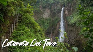 Catarata Del Toro Waterfall in Costa Rica  Alajuela Province [upl. by Amber]