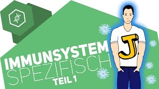 Spezifische Immunabwehr 1  Immunsystem [upl. by Rabelais624]