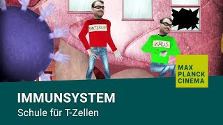 Immunsystem  Schule für TZellen [upl. by Lenox]