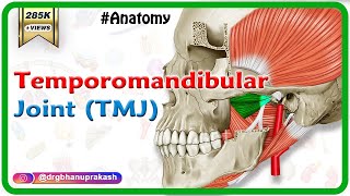 Anatomy of Temporomandibular joint  TMJ  Animation Gross Anatomy medical animations [upl. by Llenyl610]