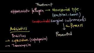 Pseudomonas aeruginosa treatment [upl. by Armil39]