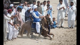 top best horse riders showing  horse riding skills  horse riding information  tent pegging 2017 [upl. by Enyrehtac73]