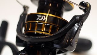 The Perfect Spinning Reel  Almost  Daiwa BG4000 Comprehensive Review [upl. by Ennovehs]