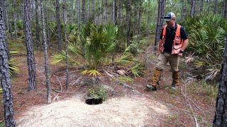 How Foresters Protect Gopher Tortoise Burrows [upl. by Gilson645]