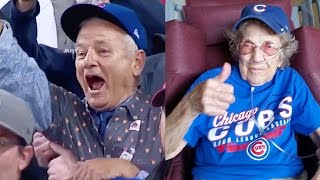 Best Cubs World Series Win Fan amp Celebrity Reactions [upl. by Ulphiah221]