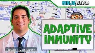 Immunology  Adaptive Immunity [upl. by Relyks]