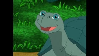 Go Diego Go  Save the Tortoises [upl. by Assenej]