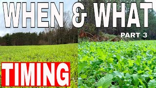 What Food Plots amp When should You Plant Them [upl. by Dolora]