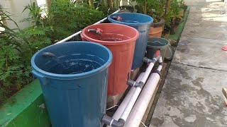 DIY  How to build simple RAS system for catfish ponds using bucket  Aquaponic system Part 1 [upl. by Epul2]