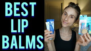 BEST LIP BALMS for HYDRATION amp SPF dermatologists review 💄💋 [upl. by Lyret154]