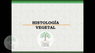 Histología vegetal reeditado [upl. by Chalmer]