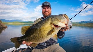 Giant Bass Everywhere Incredible Bass Fishing on Lake Baccarac [upl. by Faustine]