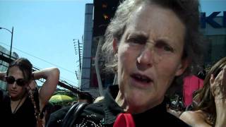 Temple Grandin at the 2010 Emmy Awards [upl. by Artus]