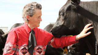 A Celebration of Dr Temple Grandin [upl. by Rurik]