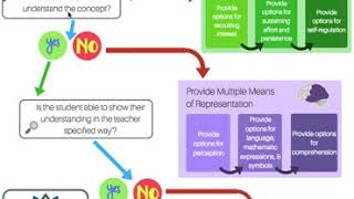 UDL Barrier Flow Chart Screencast [upl. by Idyh]